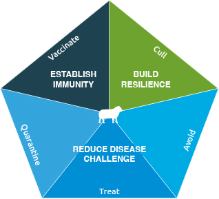 The five point plan for protecting your livestock